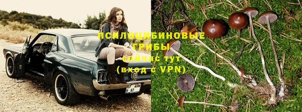 ешки Балахна